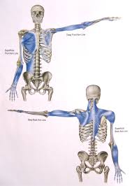 regional interdependence shoulder pain and elbow pain